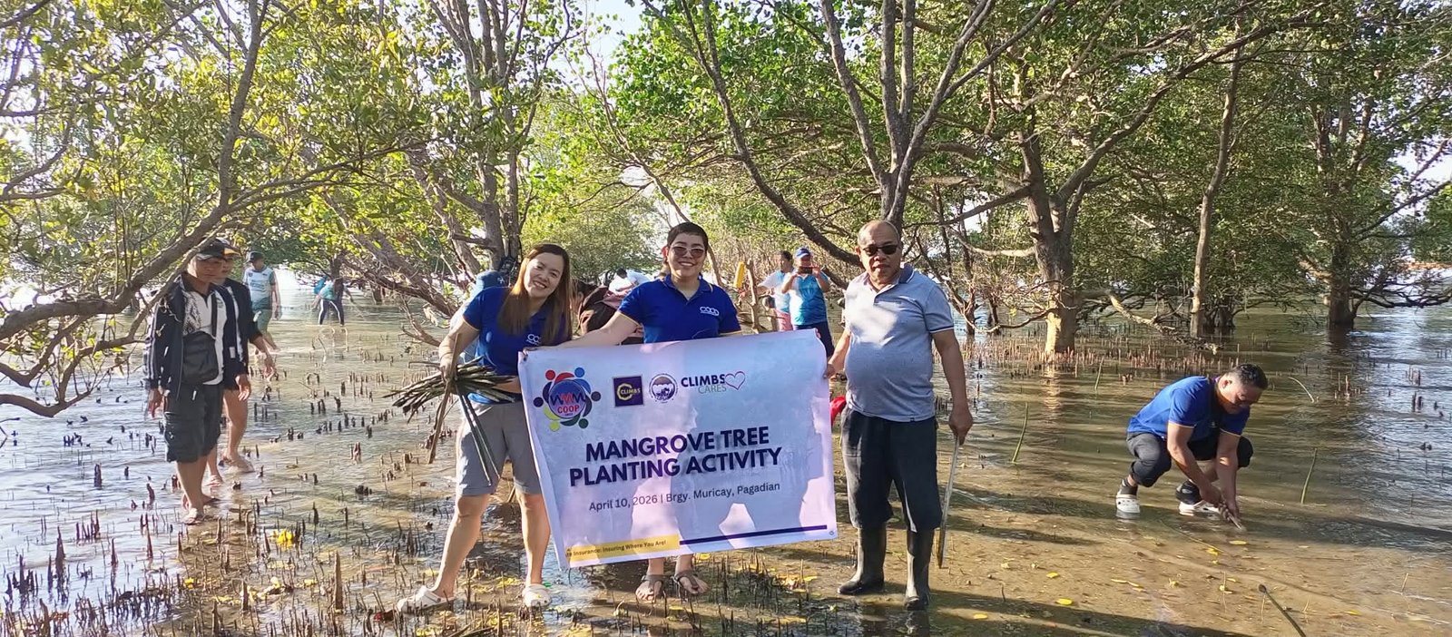 MANGROVE TREE PLANTING ACTIVITY