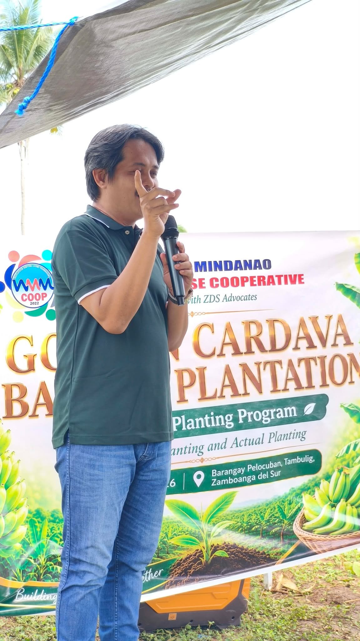 𝐆𝐨𝐥𝐝𝐞𝐧 𝐂𝐚𝐫𝐝𝐚𝐯𝐚 𝐁𝐚𝐧𝐚𝐧𝐚 𝐏𝐥𝐚𝐧𝐭𝐚𝐭𝐢𝐨𝐧 – 𝐒𝐭𝐚𝐫𝐭𝐮𝐩 𝐏𝐥𝐚𝐧𝐭𝐢𝐧𝐠 𝐏𝐫𝐨𝐠𝐫𝐚𝐦