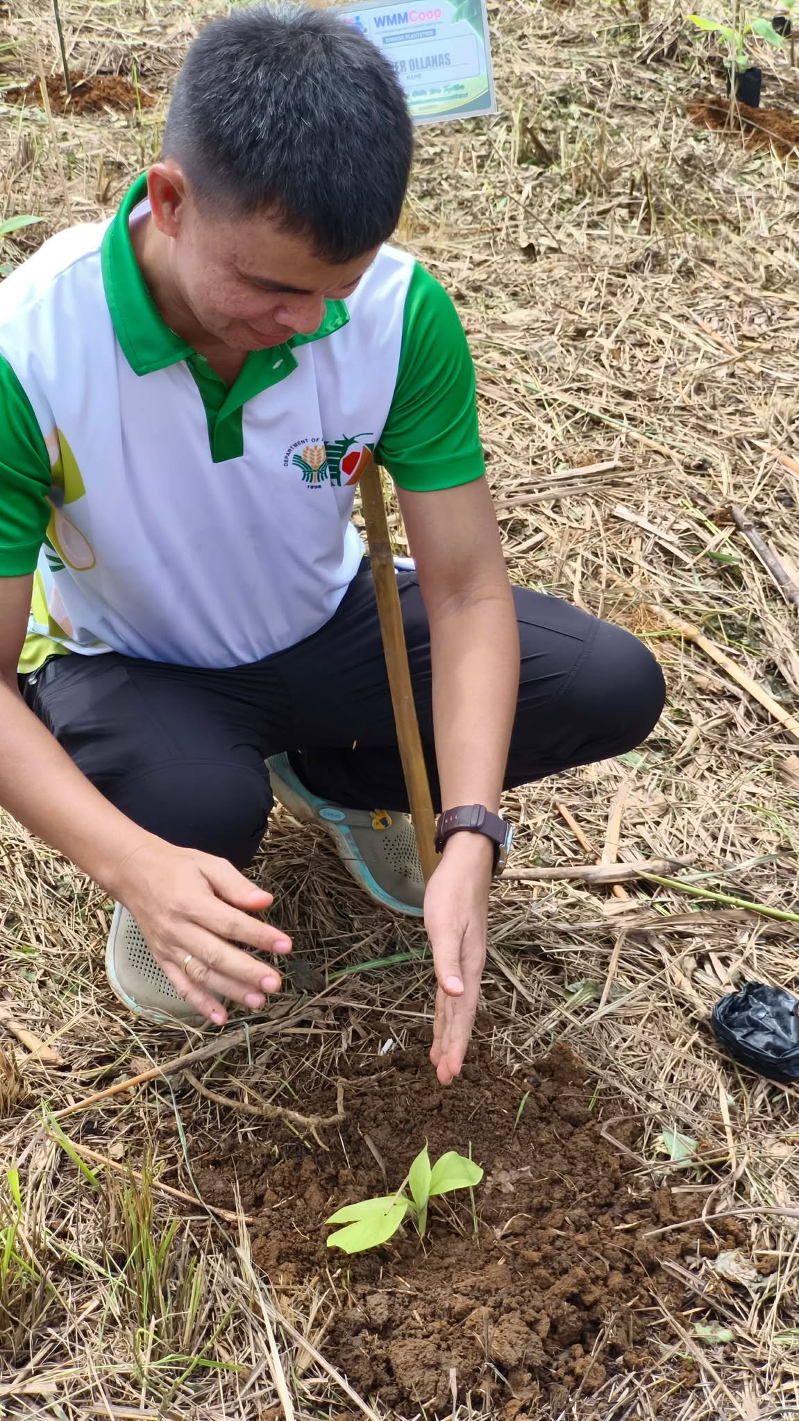 𝐆𝐨𝐥𝐝𝐞𝐧 𝐂𝐚𝐫𝐝𝐚𝐯𝐚 𝐁𝐚𝐧𝐚𝐧𝐚 𝐏𝐥𝐚𝐧𝐭𝐚𝐭𝐢𝐨𝐧 – 𝐒𝐭𝐚𝐫𝐭𝐮𝐩 𝐏𝐥𝐚𝐧𝐭𝐢𝐧𝐠 𝐏𝐫𝐨𝐠𝐫𝐚𝐦