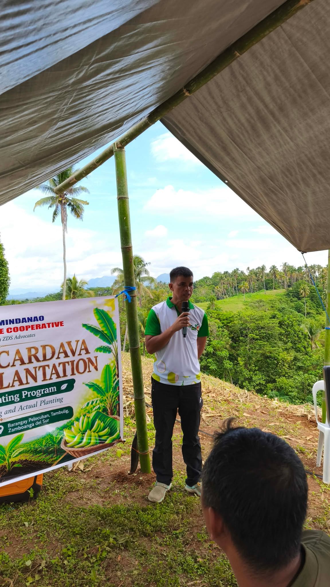 𝐆𝐨𝐥𝐝𝐞𝐧 𝐂𝐚𝐫𝐝𝐚𝐯𝐚 𝐁𝐚𝐧𝐚𝐧𝐚 𝐏𝐥𝐚𝐧𝐭𝐚𝐭𝐢𝐨𝐧 – 𝐒𝐭𝐚𝐫𝐭𝐮𝐩 𝐏𝐥𝐚𝐧𝐭𝐢𝐧𝐠 𝐏𝐫𝐨𝐠𝐫𝐚𝐦